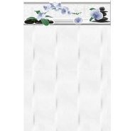 Gạch men ốp tường Thanh Thanh 25x40 (T2420)