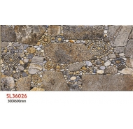 Gạch TQ trang trí ngoài SL36026 kích thước 30x60