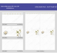 Gạch ốp tường 30x60 cao cấp (NA 9297)