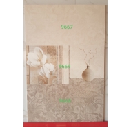Gạch Ốp Tường Prime  30X60 (9667)