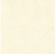 Gạch bán sứ lát nền Thanh Thanh 60x60 (P6102)
