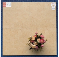 Gạch Porcelain kháng khuẩn lát nền Prime mã gạch 20011 gạch loại 1 kích thước 30X30