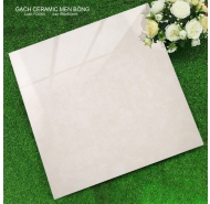 Gạch Ceramic men bóng lát nền FICO -FC6004