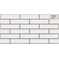 Gạch Ceramic trang trí ốp tường VITALY mã gạch W25502M gạch loại 1 kích thước 25x50
