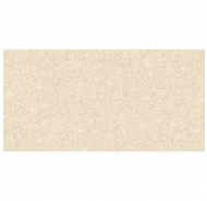 GẠCH ỐP TƯỜNG CERAMIC MEN MỜ 3060NHATRANG001