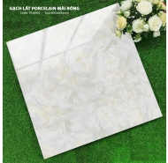 Gạch Porcelain mài bóng lát nền Hà Thanh mã gạch TK 6692 gạch loại 1 kích thước 60x60