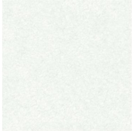 Gạch lát nền VITALY -V5813