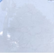 Gạch lát nền Viglacera ECO S8806