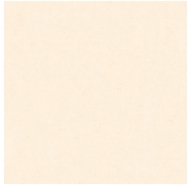 Gạch lát nền Feliz FM605 kích thước 600x600
