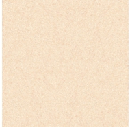 Gạch lát nền Prime  60X60 (9725)