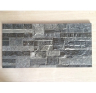 Gạch ốp tường Viglacera GW 3628