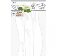 Gạch ốp tường VITALY -  BK2683VA
