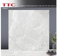 Gạch bán sứ Pocerlain mặt bóng kiếng lát nền TTC mã gạch PN88011 gạch loại 1 kích thước 80x80