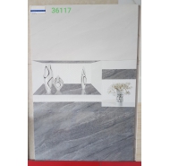 Gạch Ốp Tường  30X60 (36117)