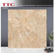 Gạch bán sứ Pocerlain mặt bóng kiếng lát nền TTC mã gạch PN88009 gạch loại 1 kích thước 80x80