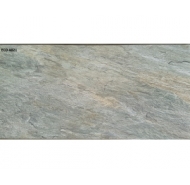 Gạch ốp tường Viglacera ECO-4821 kích thước 40x80