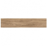 Gạch Granite đồng chất nhám mờ lát nền Trung Quốc mã gạch 201004 gạch loại 1  kích thước 20x1000
