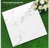 Gạch Porcelain mài bóng lát nền Hà Thanh mã gạch TK 6688 gạch loại 1 kích thước 60x60