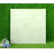 Gạch Ceramic mặt nhẵn bóng lát nền Prime mã gạch 2065 gạch loại 1 kích thước 50x50