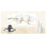 Gạch Ceramic men bóng viên điểm ốp tường Mikado mã gạch CD3624 gạch loại 1 kích thước 30x60