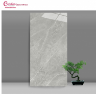 Gạch Porcelain mài bóng nano ốp lát Catalan mã gạch 12013 gạch loại 1 kích thước 60x120 