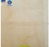 Gạch Granite bóng kiếng toàn phần lát nền Viglacera mã gạch TQ801 gạch loại 1 kích thước 80x80