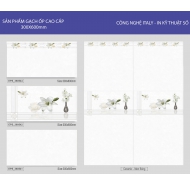 Gạch ốp tường 30x60 cao cấp (NA 2412)