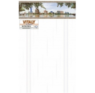 Gạch ốp tường VITALY - W26206V