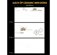 Gạch Ceramic mặt bóng ốp tường Hà Thanh mã gạch TK4851 gạch loại 1 kích thước 40x80