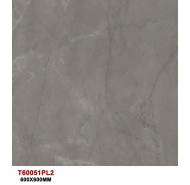 Gạch TQ lát nền mặt bóng đồng chất T60051PL2 kích thước 60x60