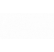 Gạch Ốp Tường Prime  30X60 (9004)
