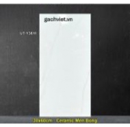 Gạch Ceramic men bóng ốp tường Viglacera mã gạch UT-Y3611 gạch loại 1 kích thước 30x60