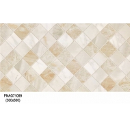 Gạch TQ ốp tường PNAG71099 kích thước 30x60