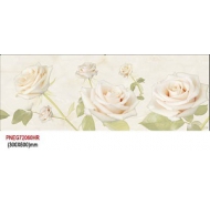Gạch TQ ốp tường viên điểm PNEG72060HR kích thước 30x60