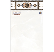 Gạch ốp tường 25x40 - HT 43V
