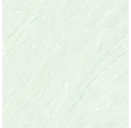 Gạch lát nền VITALY -V5810