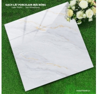 Gạch Porcelain mài bóng lát nền TT mã gạch TP 6931 gạch loại 1 kích thước 60x60