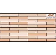 Gạch Ceramic trang trí ốp tường VITALY mã gạch W25503M gạch loại 1 kích thước 25x50