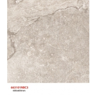 Gạch TQ lát nền 663101NBC3 kích thước 60x60