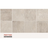 Gạch TQ ốp tường PSEY71520 kích thước 30x60