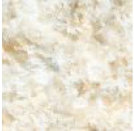 Gạch Porcelain mặt bóng lát nền Prime mã gạch 12042 gạch loại 1 kích thước 60x60