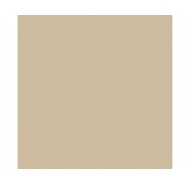 Gạch Granite mài bóng lát nền Viglacera mã gạch TS5-602 gạch loại 1 kích thước 60x60