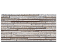 Gạch ốp Viglacera GW2431