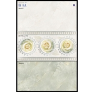 Gạch ốp tường Viglacera UB3665 - UB3666