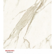 Gạch TQ lát  nền Granite marble hiệu ứng bề mặt màu nhạt (8824501NX1) kích thước 80x80