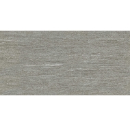 Gạch ốp tường Viglacera F3638 kích thước 300x600