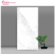 Gạch Porcelain mài bóng nano ốp lát Catalan mã gạch 12010 gạch loại 1 kích thước 60x120 
