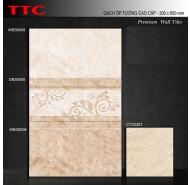Gạch Ceramic men bóng ốp tường TTC mã gạch Bộ WB36005-06 gạch loại 1 kích thước 30x60