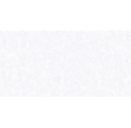 Gạch Ốp Tường Prime  30X60 (9041)
