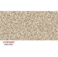 Gạch TQ lát nền Ceramic siêu mỏng (CTH51003P) kích thước 50x100